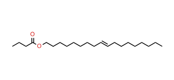 9-Octadecenyl butyrate